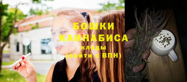 индика Куйбышев