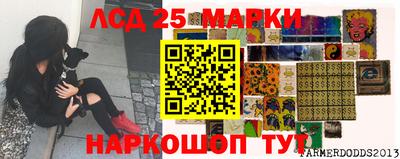 spice Будённовск