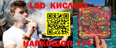 spice Бийск
