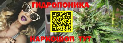 spice Бийск