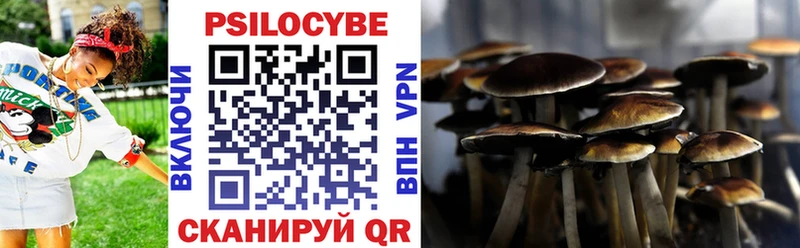 darknet наркотические препараты  Дмитров  Псилоцибиновые грибы GOLDEN TEACHER  omg онион 