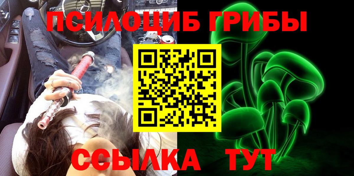 Галлюциногенные грибы GOLDEN TEACHER Дмитров