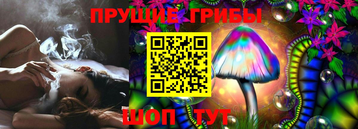 Дмитров  Псилоцибиновые грибы MAGIC MUSHROOMS  Псилоцибиновые грибы мицелий  Вход с VPN 