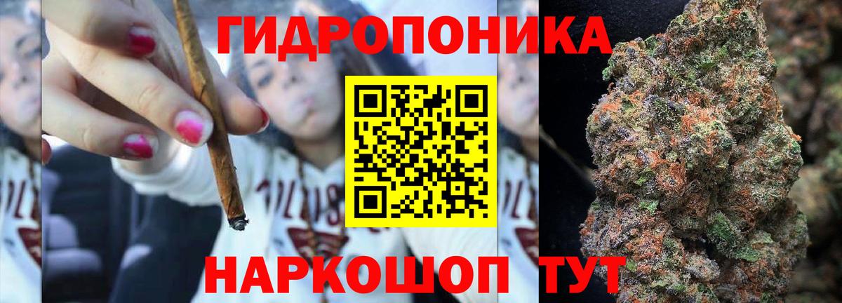 Конопля семена  Конопля VHQ  Дмитров  Канабис конопля 